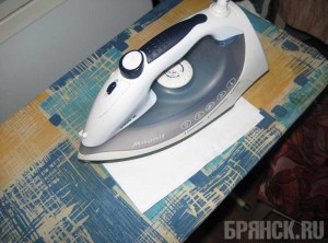 Садистов из Дятьковского района отправили за решетку