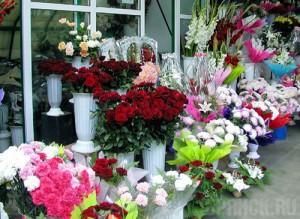 Свыше 40 цветочных точек открыли в районах Брянска