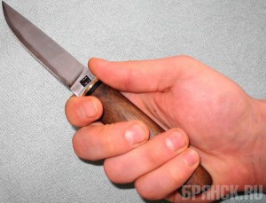 Ждет суда брянец, зарезавший собственного дядю