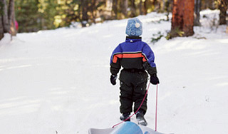 Пропавший мальчик найден мертвым в лесу Пропавший мальчик найден мертвым в лесу
