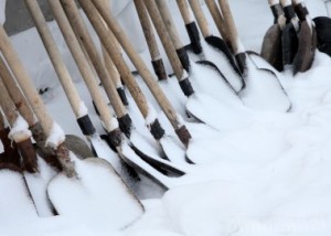 Болельщики «Динамо» помогли очистить стадион от снега