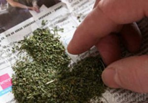 Брянские таможенники нашли в поезде 118 граммов марихуаны