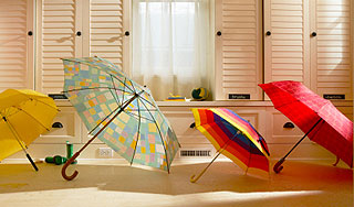 Лампочки и зонтики смогут выйти в Интернет Лампочки и зонтики смогут выйти в Интернет