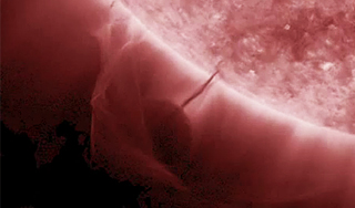 NASA опровергло заправку НЛО от Солнца NASA опровергло заправку НЛО от Солнца