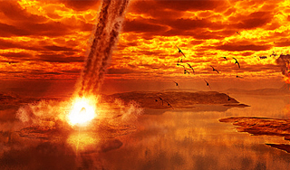 Бразильцы готовятся к концу света Бразильцы готовятся к концу света