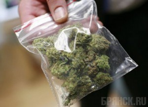 Брянский таможенник попался в Орле с крупной партией наркотиков