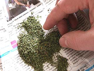 Будут судить группу наркоторговцев, промышлявшую в Бежице