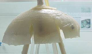 В США представлен военный робот-медуза В США представлен военный робот-медуза