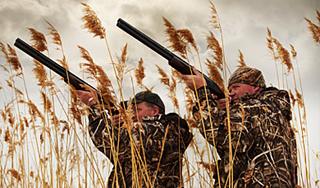 Охотников обяжут сдавать экзамен Охотников обяжут сдавать экзамен