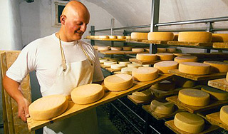 Украинские сыры проверили "на месте" Украинские сыры проверили "на месте"