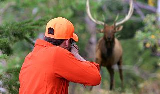 Американцы на спор расстреляли 100 оленей Американцы на спор расстреляли 100 оленей