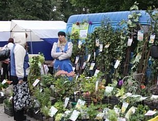 В Брянске определили место торговли саженцами и рассадой