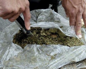 Гражданина Молдовы будут судить в Брянске за перевозку наркотиков