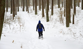 Под Москвой нашли труп пропавшего ребенка Под Москвой нашли труп пропавшего ребенка