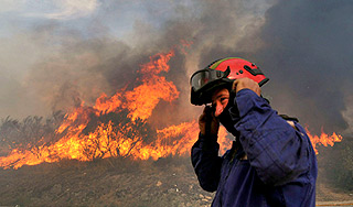 В Сибири полыхает 900 гектаров леса В Сибири полыхает 900 гектаров леса
