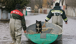 В России начались наводнения В России начались наводнения