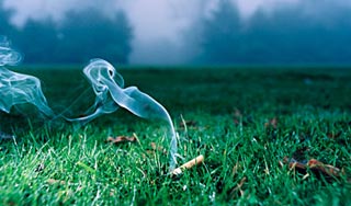 Бродяга заплатит за окурок полмиллиарда Бродяга заплатит за окурок полмиллиарда