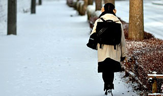 В Иркутске похитили семиклассницу В Иркутске похитили семиклассницу