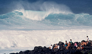 Россиян срочно эвакуировали с курортов Россиян срочно эвакуировали с курортов