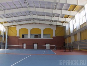 В Выгоничском районе появится спортивный комплекс