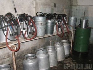 Решением суда злынковский кооператив приостановил деятельность