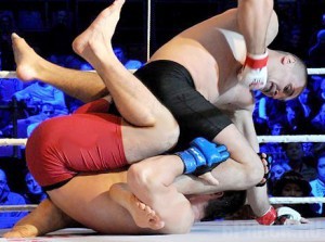 Виталий Минаков за секунды нокаутировал литовского тяжеловеса