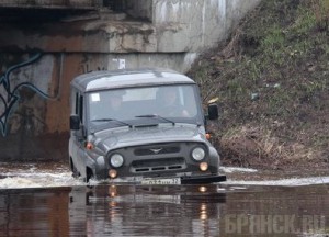 В Бежицком районе Брянска река затопила 20 домовладений