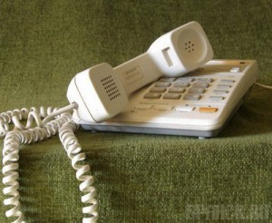 С начала года на детский телефон доверия поступило 600 звонков