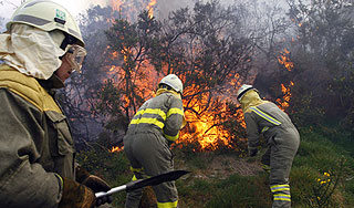 Подмосковье готовится к лесным пожарам Подмосковье готовится к лесным пожарам