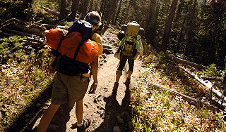 Клещи успели покусать сотни россиян Клещи успели покусать сотни россиян