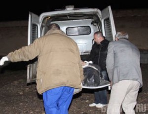 Под Навлей водитель грузовика переехал бездомного