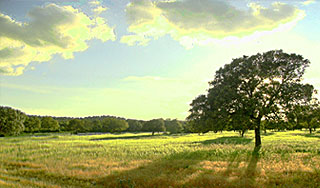 Над Москвой зависли зеленые облака Над Москвой зависли зеленые облака