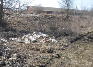 Сельскохозяйственные земли под Погаром завалили мусором