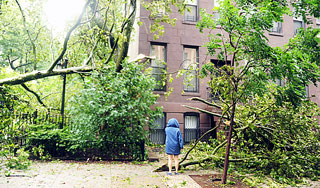 Ураган рвал провода и сносил крыши Ураган рвал провода и сносил крыши