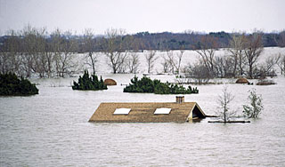 Паводок на сутки загнал людей на крышу Паводок на сутки загнал людей на крышу