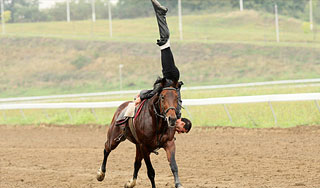 Известный циркач арестован за разбой Известный циркач арестован за разбой