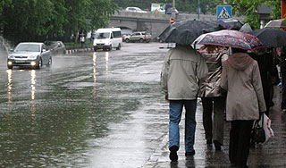 Дожди идут на рекорд в Москве Дожди идут на рекорд в Москве