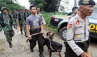 Появилось видео с места крушения Superjet Появилось видео с места крушения Superjet