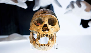 В Германии разбили хрустальный череп майя В Германии разбили хрустальный череп майя