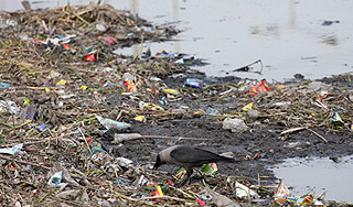 Ресурсы Земли сократились на четверть Ресурсы Земли сократились на четверть