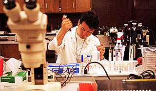 Американцы добыли электричество из вирусов Американцы добыли электричество из вирусов