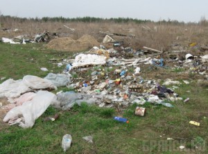 В Брянской области погубили 11 гектаров сельскохозяйственных земель