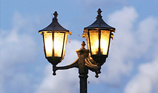 Фонари на улицах привлекают хищников Фонари на улицах привлекают хищников