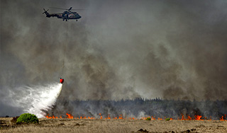 Подмосковье защитили от лесного пожара Подмосковье защитили от лесного пожара