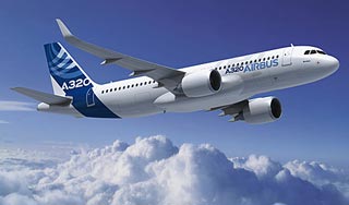 Лайнеры над Москвой столкнулись с птицами Лайнеры над Москвой столкнулись с птицами