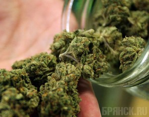 Полицейский и его подельники ответят за наркоторговлю