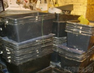 Под Трубчевском прикрыли крупную нарколабораторию