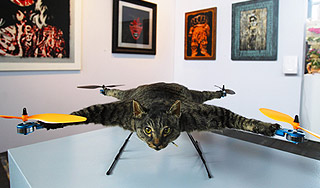 Британец сделал из кота вертолет Британец сделал из кота вертолет