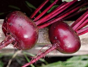 На Бежицком рынке продавали свеклу с нитратами