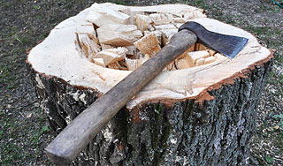 В Новосибирске мать зарубила сына топором В Новосибирске мать зарубила сына топором